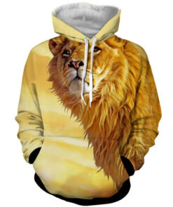 Men 3D printing Golden Lion Animal Design Long Sleeve Hoodie by Street
